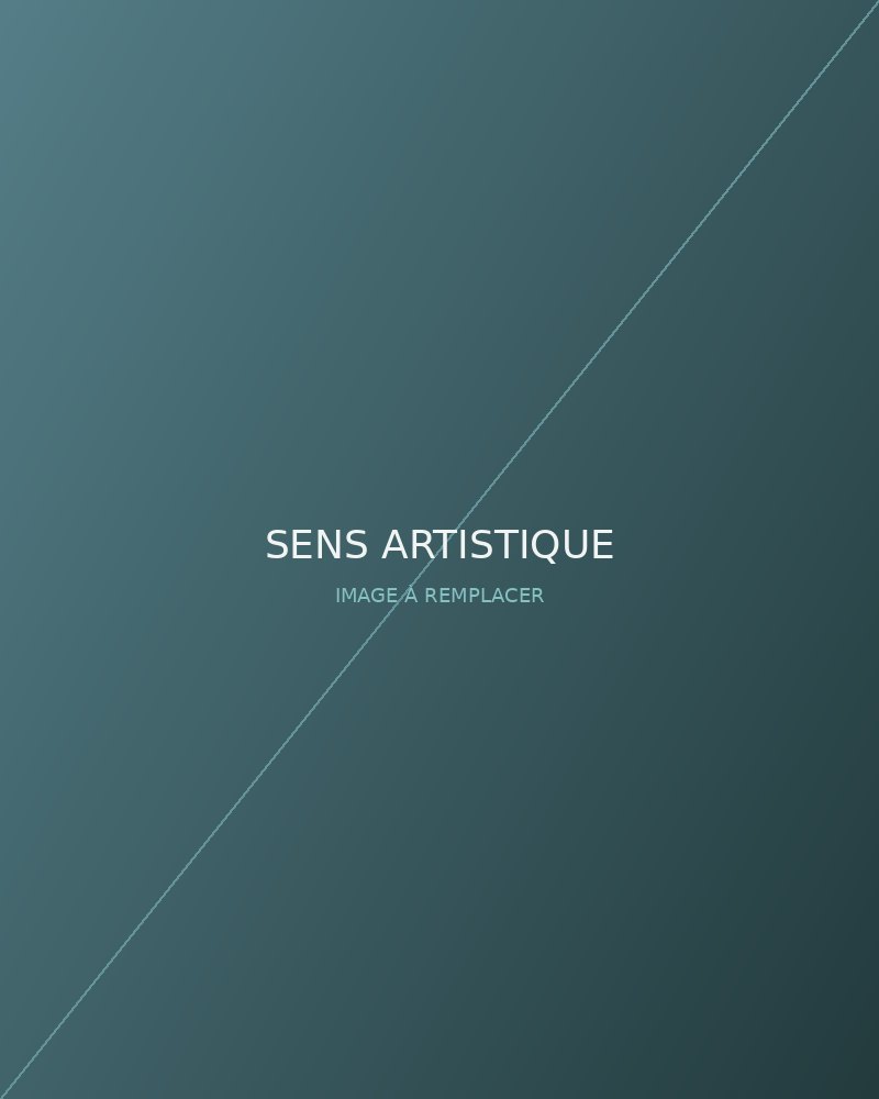 Sens artistique DHI