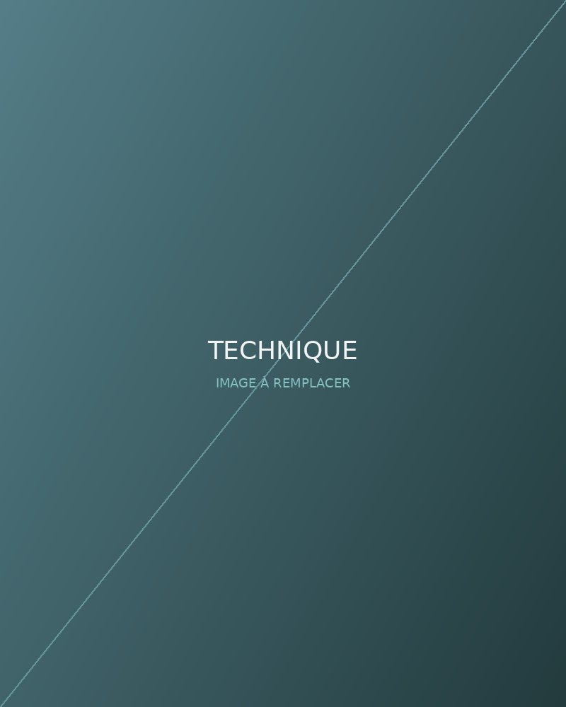 Technique médicale DHI